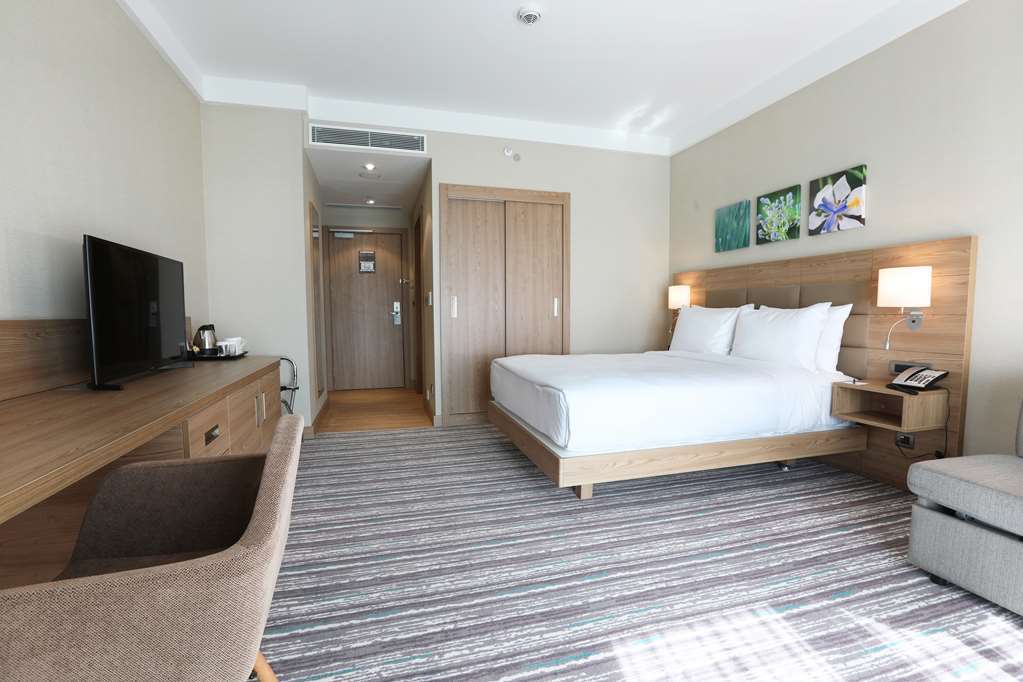 Hilton Garden Inn Adıyaman Værelse billede
